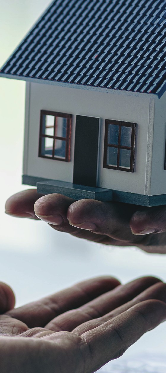 A model home held in professional hands